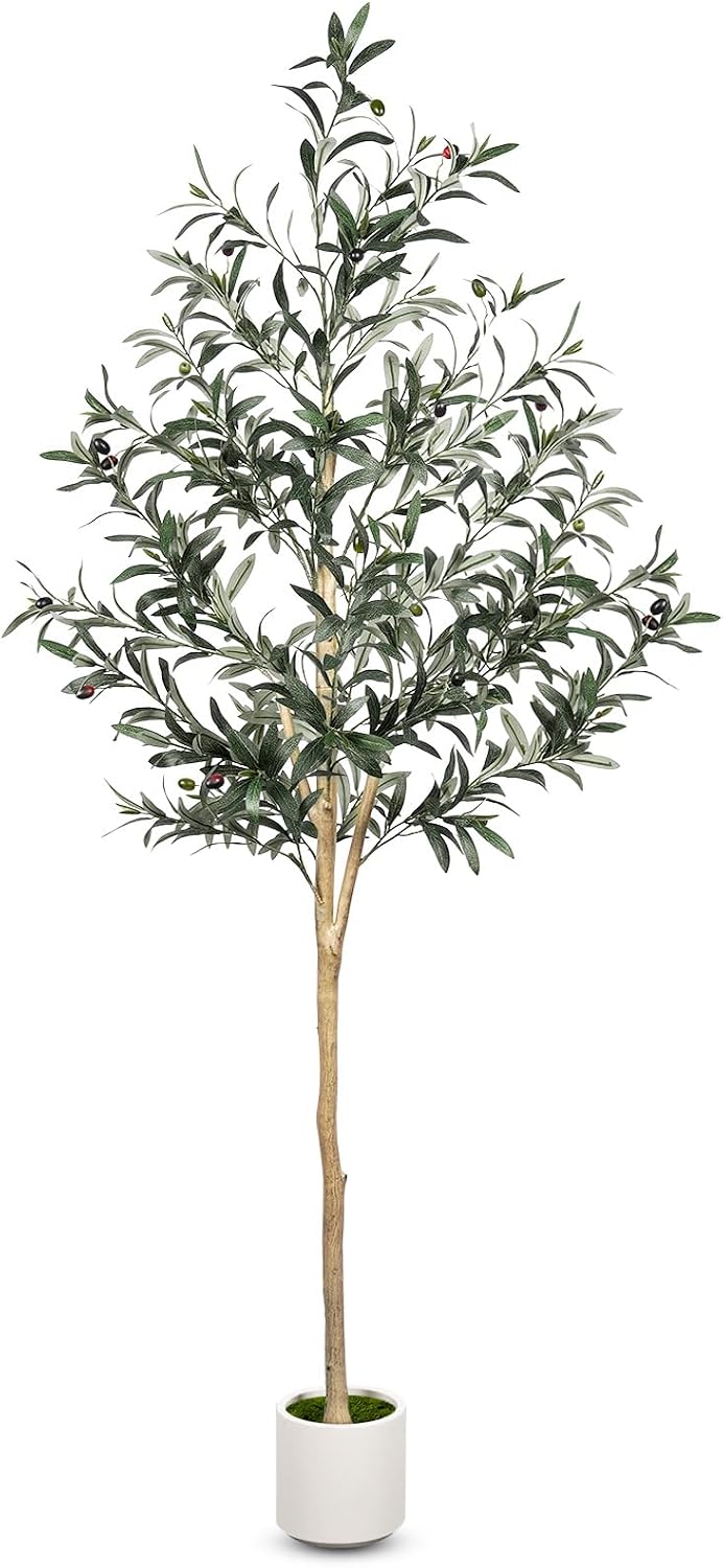 Artificial Olive Tree - 6 ft, Natural Wood Trunk, Silk Leaves