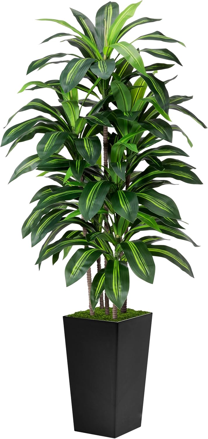 Faux Dracaena Black Pot
