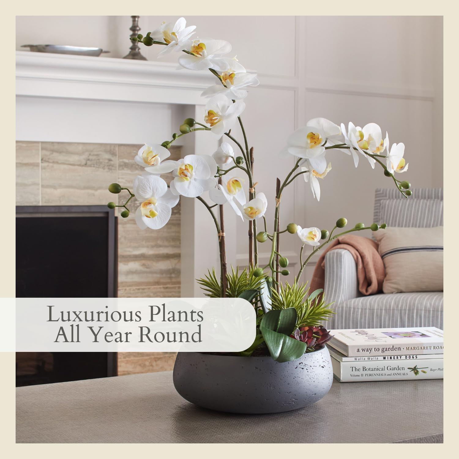 Faux Orchid Plant with Succulents - 24 in, Grey Pot - Image 5