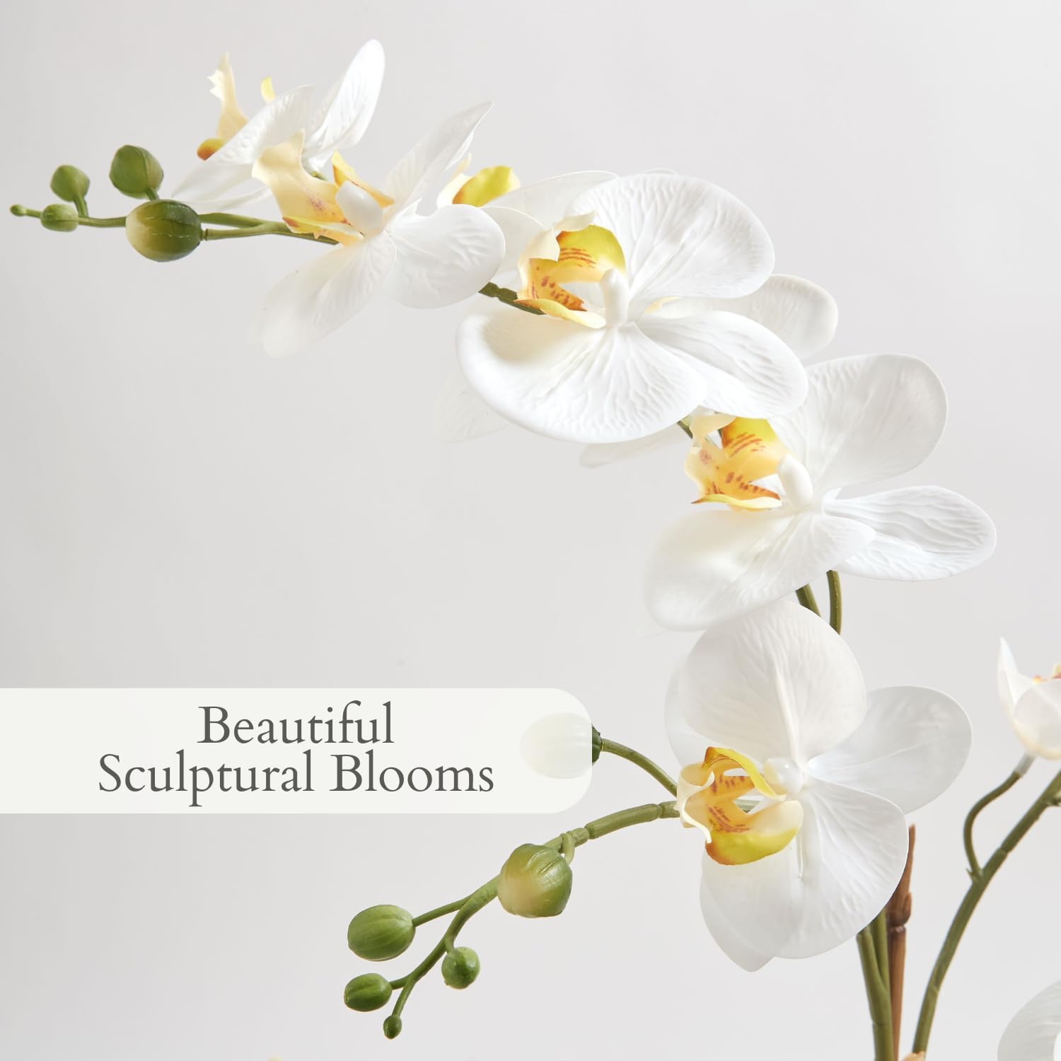 Faux Orchid Plant with Succulents - 24 in, Grey Pot - Image 3