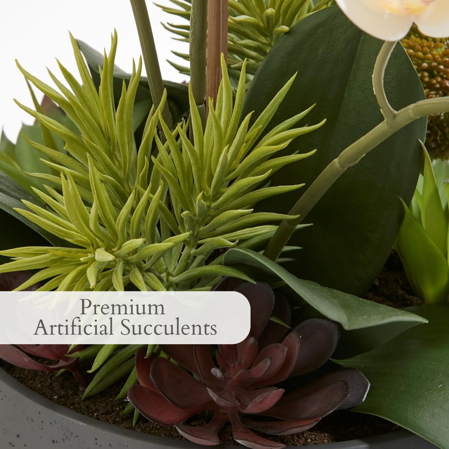 Faux Orchid Plant with Succulents - 24 in, Grey Pot - Image 4